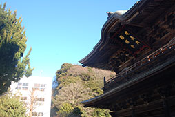 始業式、雲一つ無い快晴