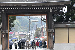 冷たい雨がふりしきる中...<br />　