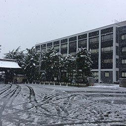 11月24日　「雪」